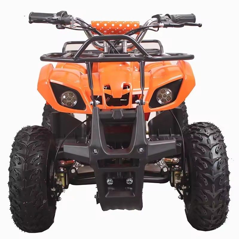 青少年と成人の電気ATVS 48V 1000W Aotongモーター CE認証で製造された