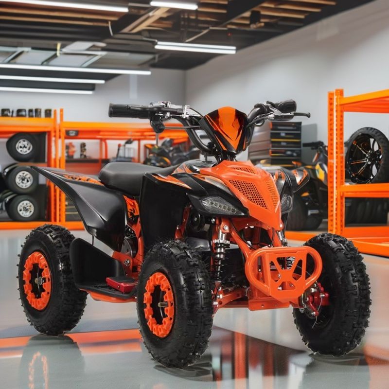 2WD アオトンモーター 800w1000W 36V オフロード クアッド ATV クアッドバイク チェーントランスミッション