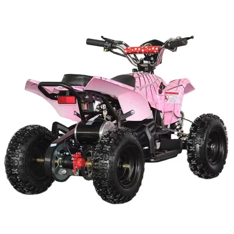 4.10-6/13X5.0-6 タイヤオトンモーター 800w/1000w 電気パワー スポーツクワッドバイク 子供向け
