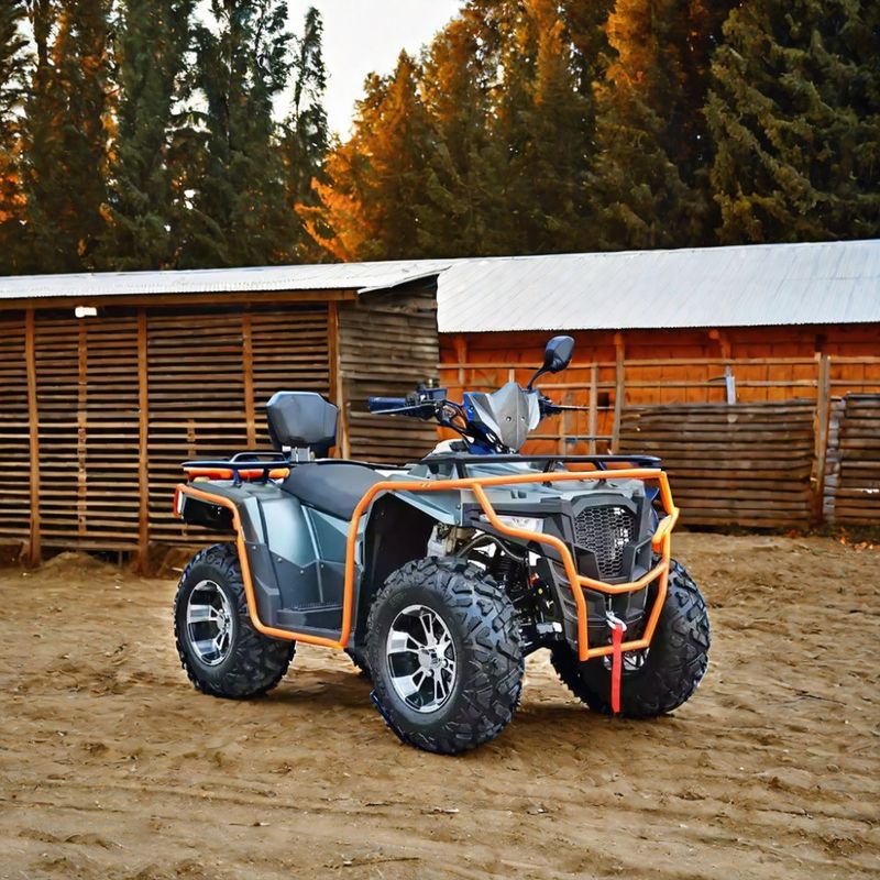 カスタマイズされた色 2024 農場クワッド 300cc 4x4 格付け能力の大きなパワーユーティリティATV