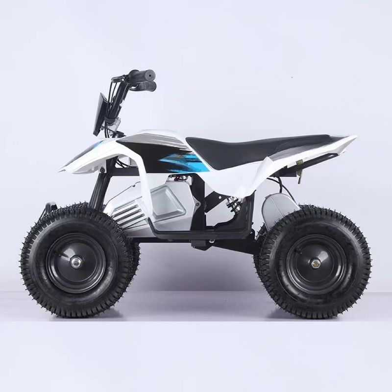 最大トルク ≤20Nm 24V エレクトリック・デューン・バギー ATV クアッドバイク