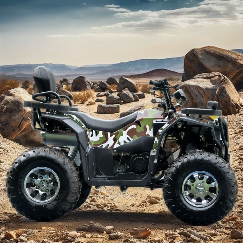 250cc 四輪ビーチバギー チェーンドライブ ダブル 四輪 マウンテン クアトリモト ATV 4x4