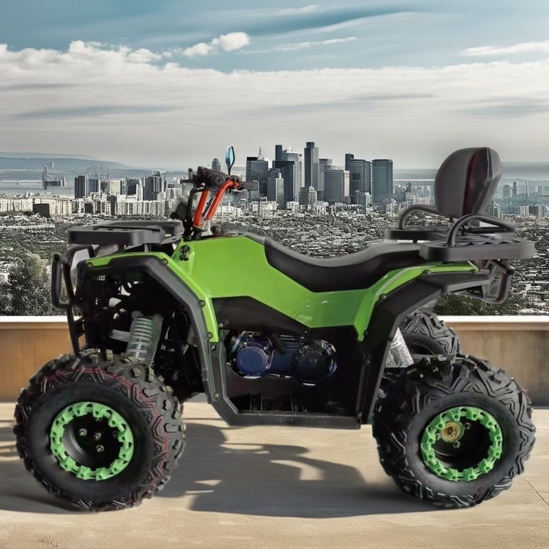 250cc 排気量 2WD ドライブ 楽しみのための 4 ストック 空気冷却 ガソリン ATV バイク