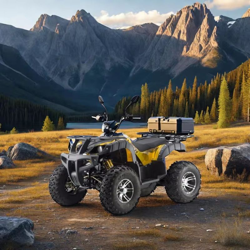 DISC ブレーキ 電動 3000w デューンバギー 大人 1500w*2 UTV ATV 4x4 オフロード 車両