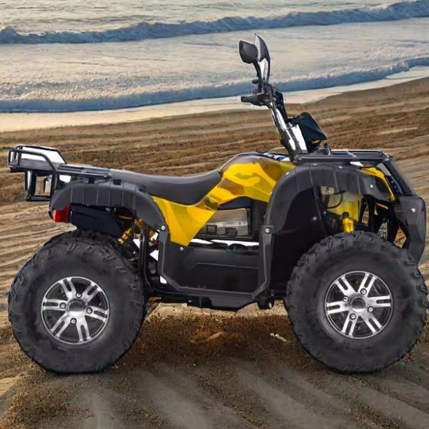 最大速さ 50~75km/h 3000W 電動ATV 4WD 60V自動トランスミッション
