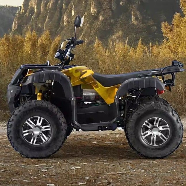 大人 3000W 電動 ATV クワッド ガス駆動 2WD 4WD 最大速度 50-75Km/h