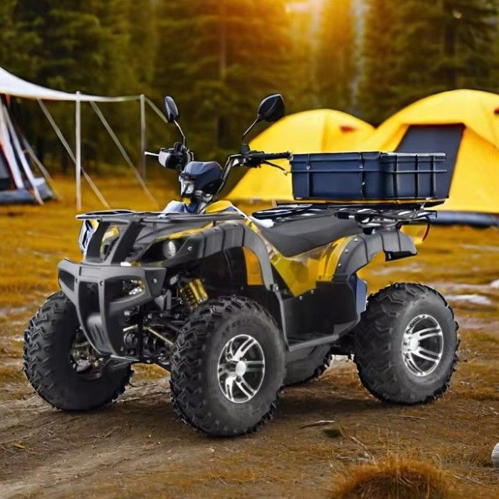 3000W 2wd/4wd ATV UTV ロード 4輪オフロード モーターサイクル 切り替え可能な運転タイプ