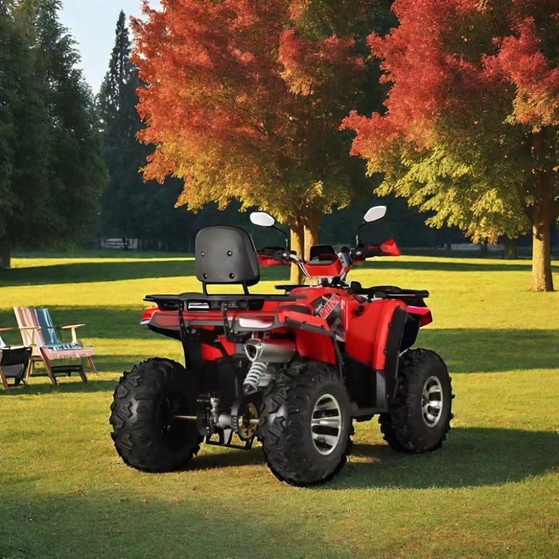 燃料ガス/ディーゼルファーム ATV 200cc/250cc 4輪ATV 最大トルク Nm ≤20Nm