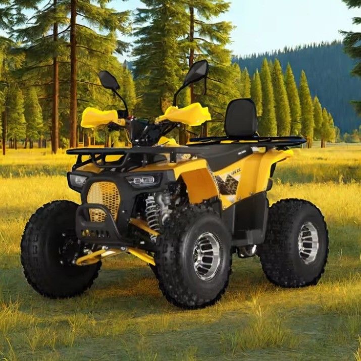 125cc 農場用クワッド ATV 成人用 強力なガソリン/ディーゼルエンジンとチェーンドライブ