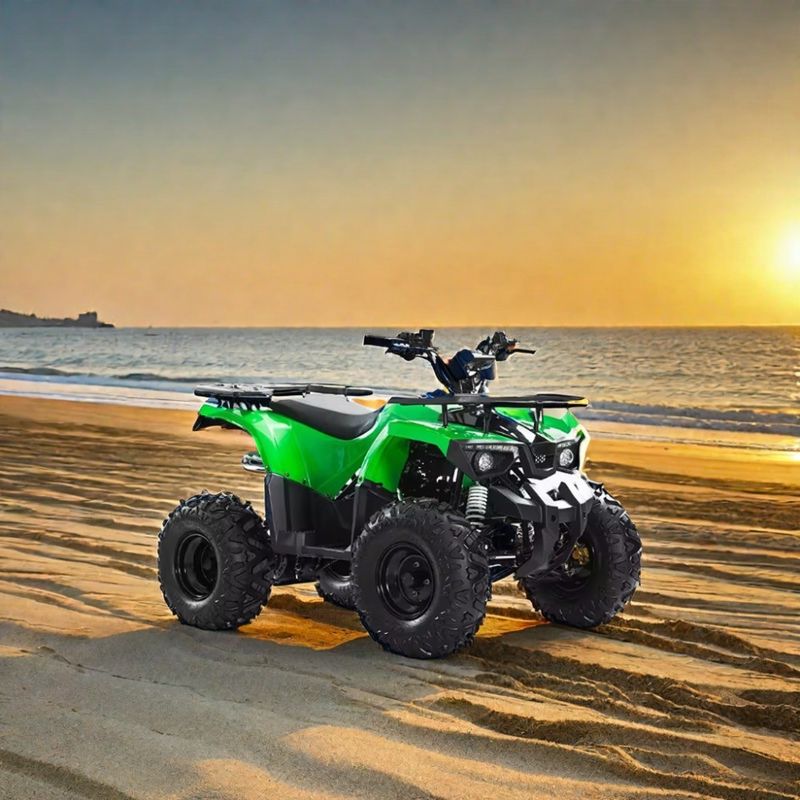 オートマティックトランスミッションタイプ アートンモーター 110cc 125cc 150cc クアトリモト ATV 大人向け