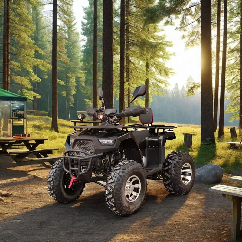 2WD 最大速さ 50~75km/h 125cc 150cc 200cc ATV オフロード UTV クアトリモト