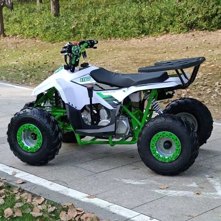 前ドラムと後方ディスクブレーキ 4 ストーク チェン駆動トランスミッション付きオフロード車両