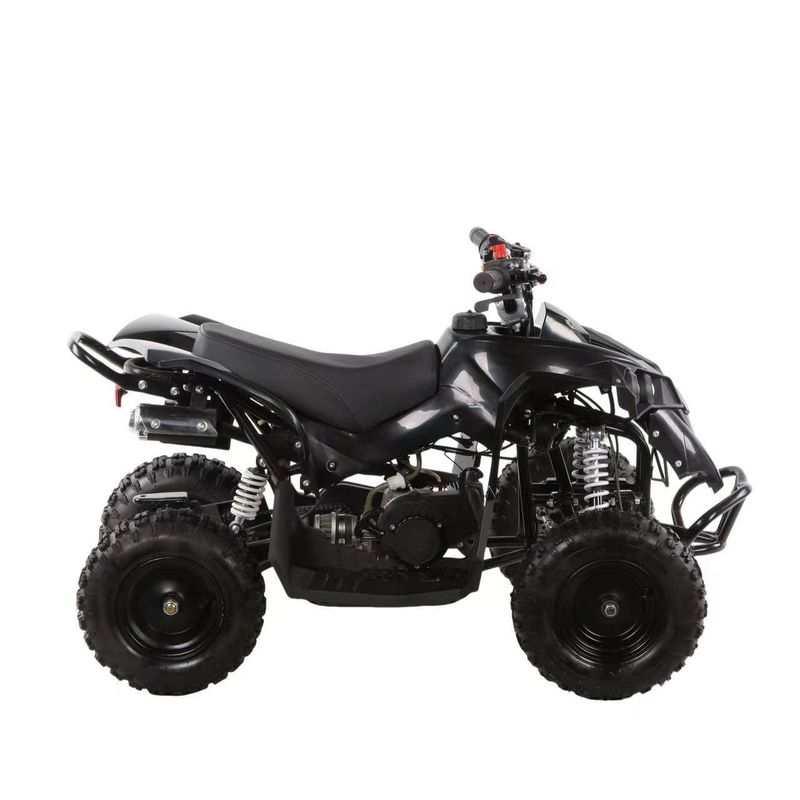 ミニ ATV 49cc 子供と大人のためのクワッドバイク 燃料ガス/ディーゼル 不備の差値ロック